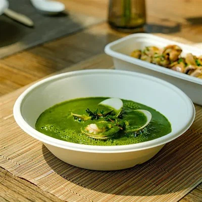 Powlen Bagasse Sugarcane