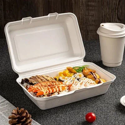 9x6 Sugarcane Bagasse Clamshell